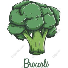Fresh Broccoli