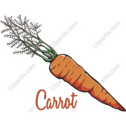 Vibrant Carrot