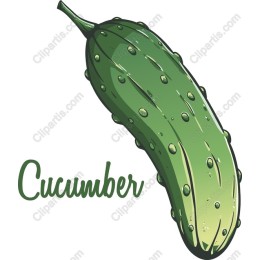 Fresh Cucumber