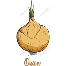 Fresh Onion