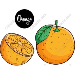 Vibrant Orange