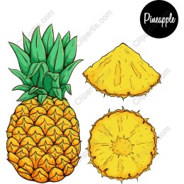 Luscious Hand-Drawn Pineapple