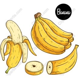 Vibrant Banana