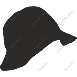 Stylish Hat