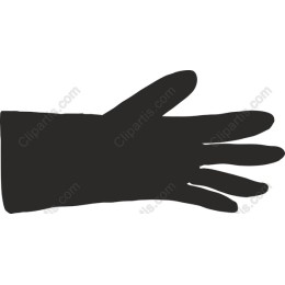 Elegant Glove