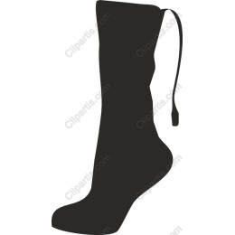 High-Heeled Boot
