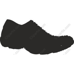 Stylish Shoe