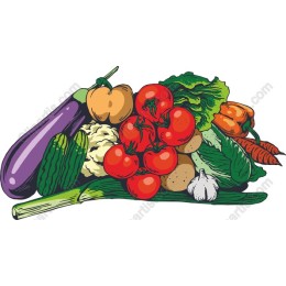 Vibrant Fresh Vegetables