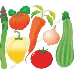 Colorful Vegetable Set - Fresh Produce
