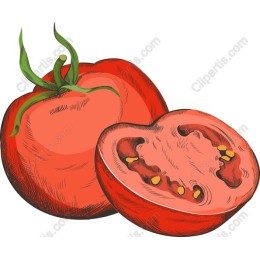 Fresh Tomato Delight
