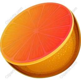 Juicy Orange Slice