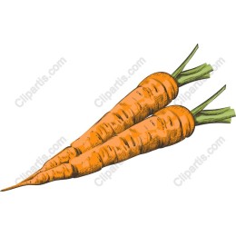 Vibrant Carrot Pack