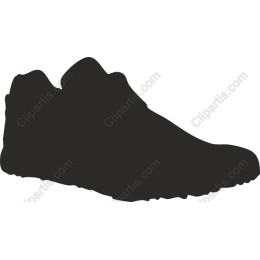 Stylish Shoe