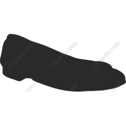 Elegant Shoe
