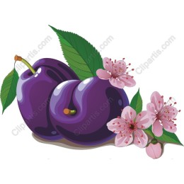 Vibrant Plum and Cherry Blossom