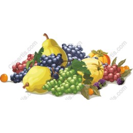 Colorful Fruit Display