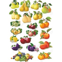 Premium Fruit Collection: Cliparts Bundle