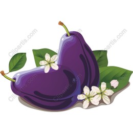 Luscious Plum