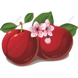 Vibrant Cherry with Blossoms and Leaves