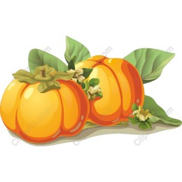 Persimmons Delight: Vibrant