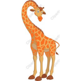 Playful Giraffe