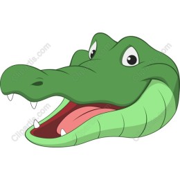 Cheerful Crocodile Head