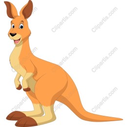 Joyful Kangaroo