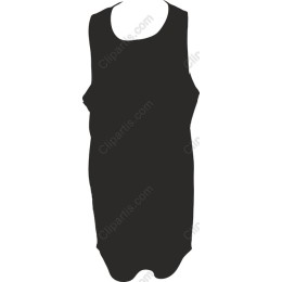Elegant Dress