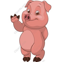 Cute Cartoon Pig