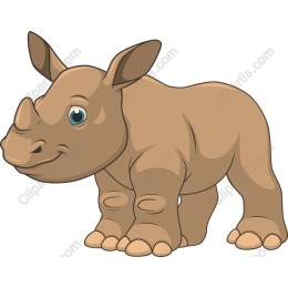 Adorable Baby Rhinoceros