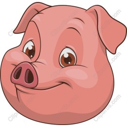 Cheerful Pig Face