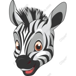 Charming Zebra Head