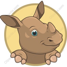 Playful Rhinoceros