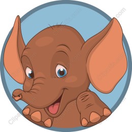 Playful Baby Elephant