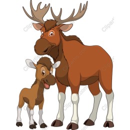 Charming Moose and Calf
