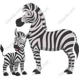 Zebra Family