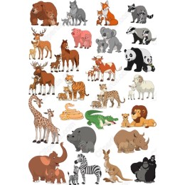 Adorable Animal Bundle - Set