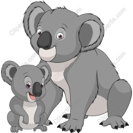 Koala Family