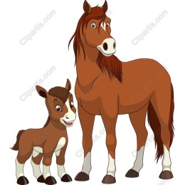 Charming Horse and Foal