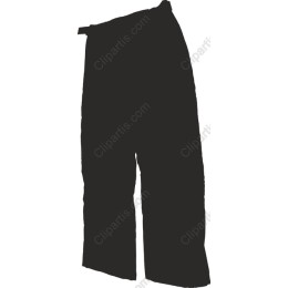 Stylish Pants
