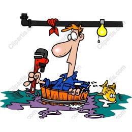 Whimsical Plumber Delight