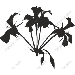 Elegant Floral