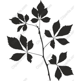 Elegant Leaf Branch