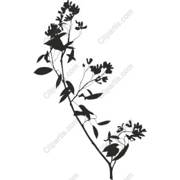 Elegant Floral