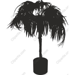 Elegant Palm Tree