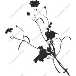 Delicate Wildflower