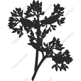 Silhouette Flower