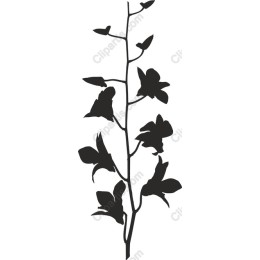 Silhouette Floral