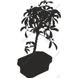 Elegant Potted Plant