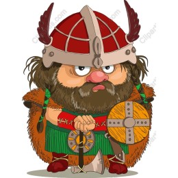 Viking Warrior